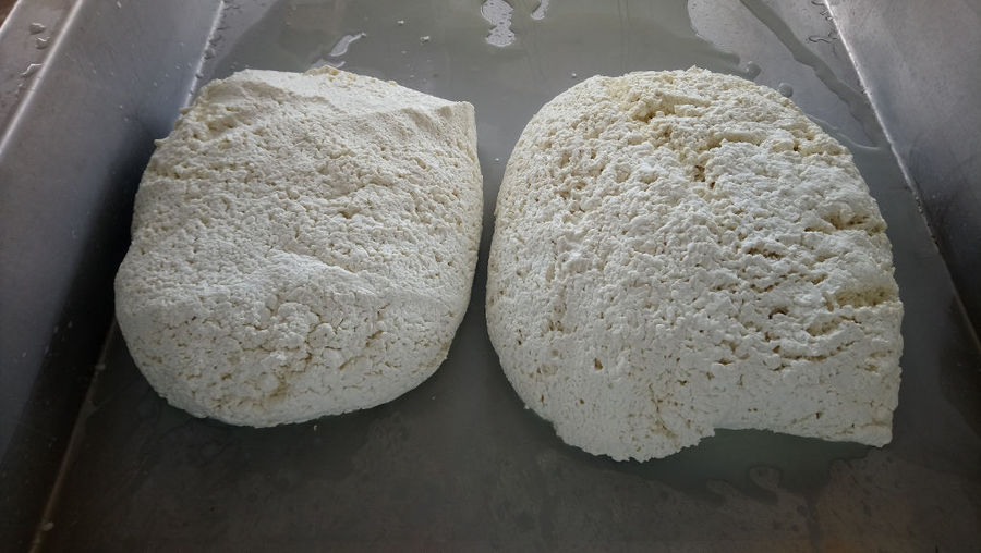 view up close of white cheeses at 'Naos' plant